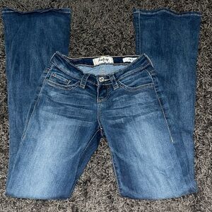Daytrip Lynx Flare 24l Jeans